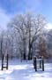 PICT0064