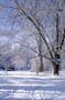 PICT0066