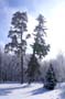 PICT0070