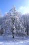 PICT0072