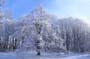 PICT0073