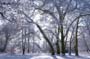 PICT0075