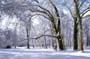 PICT0078