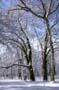 PICT0079
