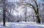 PICT0081