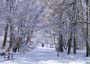 PICT0082
