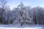 PICT0126