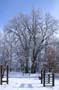 PICT0128