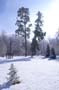 PICT0134