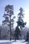 PICT0135