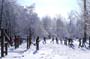 PICT0145
